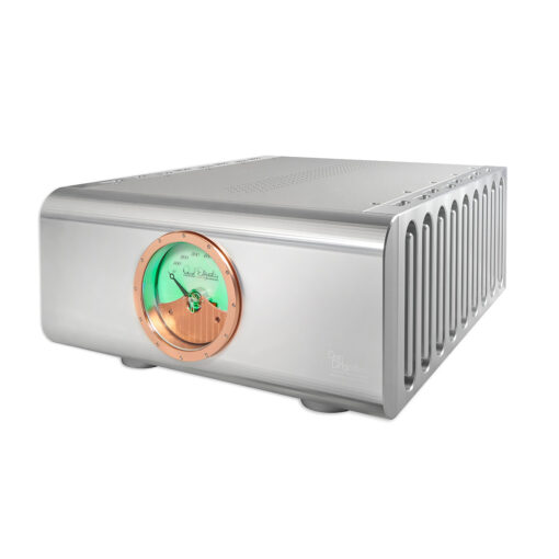 Dan D’Agostino Progression M550 Mono Amplifier – Bild 3